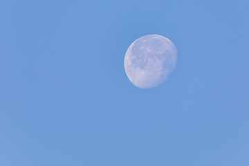 Bright waning moon at a winter morning
