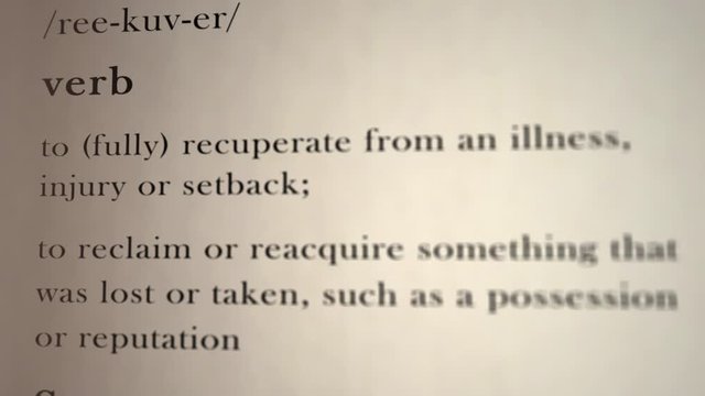 Recover Definition