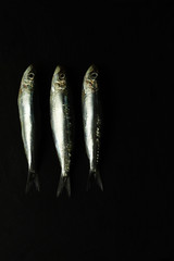 Pesce fresco. Vista dall'alto di sardine fresche su sfondo scuro con copy space.