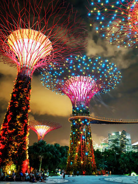 Supertrees Grove At Gardens By The Bay In Singapore