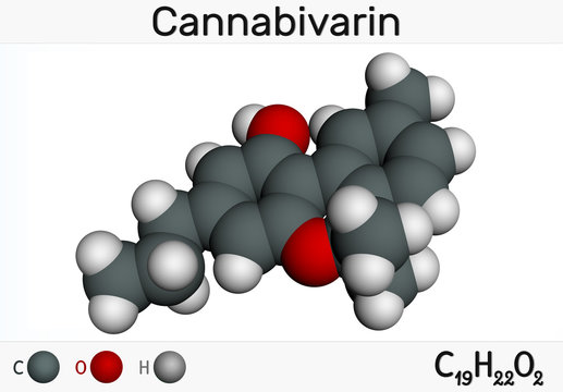 Cannabivarin, CBV molecule. It is natural product found in Cannabis sativa, is non-psychoactive cannabinoid. Structural chemical formula and molecule model. Molecular model