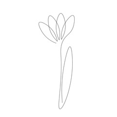 Flower one line drawing vector illustration