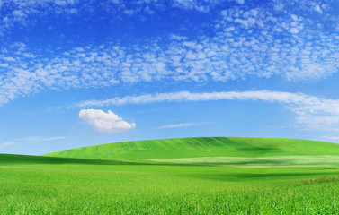 Naklejka na ściany i meble Idyllic view, green field and the blue sky with white clouds
