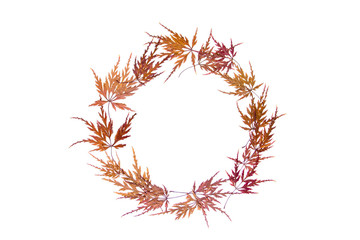 Naklejka premium wreath of autumn dry leaves on a white background top view