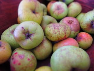Apples