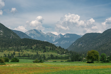 Fototapeta na wymiar Beautiful Julian Alps landscape in summer