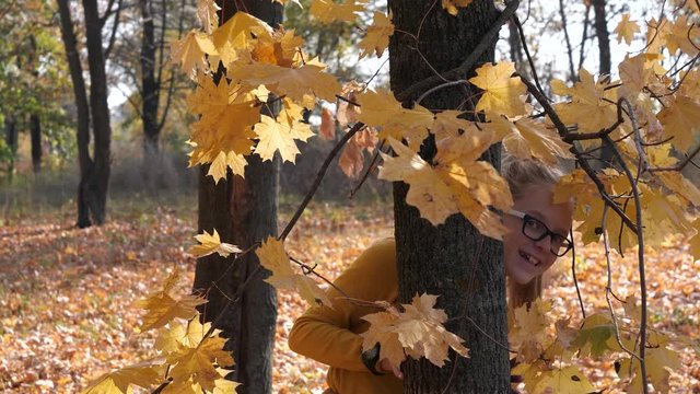 Beautiful teenage girl with glasses jokingly playing hide and seek during leisure in autumn park. Smiling young lady with long blonde hair peeking out from behind maple tree