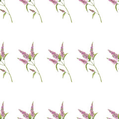 Pattern from handmade watercolor purple flower on a white background. Use for menus, invitations, menus, weddings