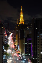 Plakat Paulista avenue, Sao Paulo cityscape, panoramic, night