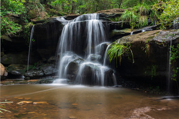 Obraz premium waterfall in forest