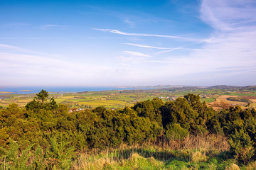 Fototapeta premium sunny winter countryside in Downpatrick,Northern Ireland