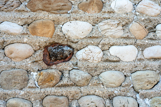 Close up detail of a very old stone wall constructed in the 1800's of row of small, fist size rocks. and cement. A wasp nest fills the gap where a cobble has fallen out. 