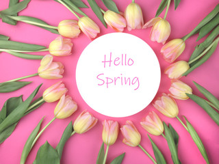 Spring tulips frame, with plate on pink background