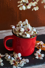 Red cup with almond flowers
