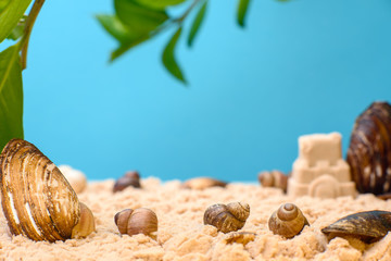 sea shells, sand on a blue background, palm trees. close-up and place for text. vacation and travel concept