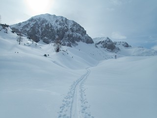 Fototapeta na wymiar beautiful skitouring mountain terrain in winter landscape tennengebirge in austrian alps