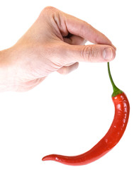 red hot pepper in hand