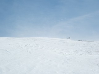 beautiful skitouring mountain terrain in winter landscape tennengebirge in austrian alps