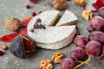 Fototapeta na wymiar Cheese selection on concrete grey background. Cheese platter with camembert, grapes, nuts.