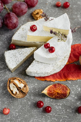 Cheese selection on concrete grey background. Cheese platter with camembert, grapes, nuts.