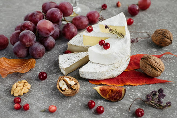 Cheese selection on concrete grey background. Cheese platter with camembert, grapes, nuts.