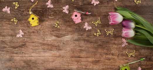 Spring background with tulips , frame on the pink background