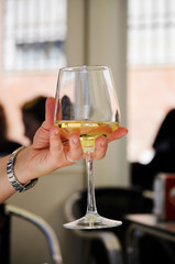 Woman hand holding a glass of white wine