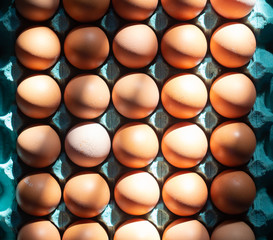 A lot of brown chicken eggs in a cardboard tray