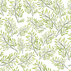 Fototapeta premium Seamless pattern of leaves from the garden. Botanical hand-drawn watercolor illustration. Design for postcard, invitation, wedding, packaging, fabrics, textiles, wallpapers website