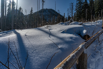 winter panorama in mountains