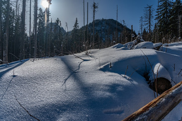 winter panorama in mountains