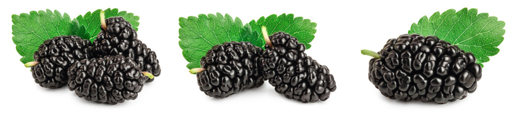 Mulberry with leaf isolated on white background. Set or collection
