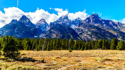 Fall Colors and the tall mountain peaks of Middle Teton, Grand Teton, Mount Owen and Teewinot Mountain in the Teton Range of Grand Teton National Park in Wyoming, United States