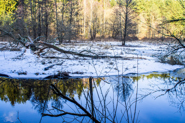 Obraz premium Forest river in spring with trees and reflection in the water