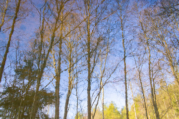 Reflection of the sky in the water of a forest river
