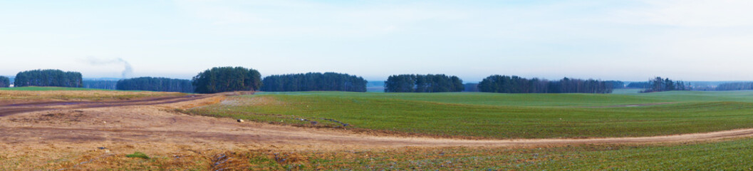 Spring landscape on the outskirts of the city. View of the green field and buildings on the horizon