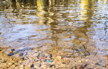 Clear bottom count mountain river