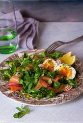 Smoked salmon egg radish and lamb leaves salad. Spring salad food. vertical image