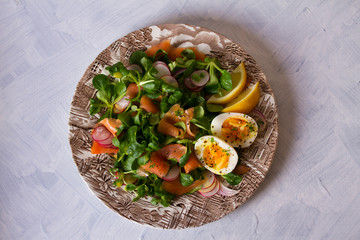 Smoked salmon egg radish and lamb leaves salad. Spring salad food. Flat lay horizontal image