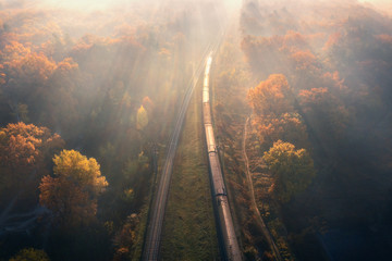 Aerial view of  train in beautiful forest in fog at sunrise in autumn. Moving passenger train in...