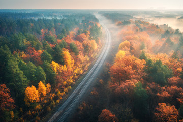 Aerial view of beautiful railroad in autumn forest in foggy sunrise. Industrial landscape with railway station, colorful trees with orange leaves, fog and sun rays. Top view of rural railway platform