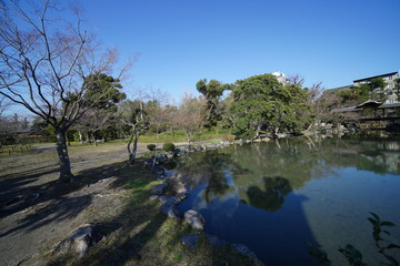 京都の庭園の風景