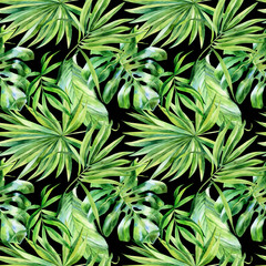Naklejka na ściany i meble Watercolor seamless pattern, tropical leaves on an isolated background, watercolor painting, botanical illustration, floral design, banana palms, monstera.
