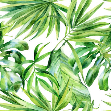 Watercolor seamless pattern, tropical leaves on an isolated background, watercolor painting, botanical illustration, floral design, banana palms, monstera.