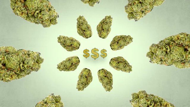 Cannabis cash currency symbol animation