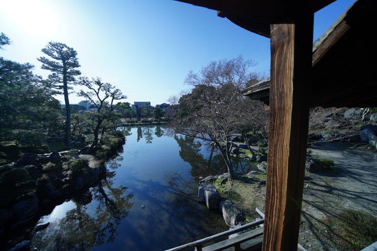 京都のお庭