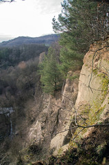 felsen klippe im wald 