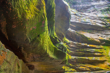 Layers of rock with green moss 