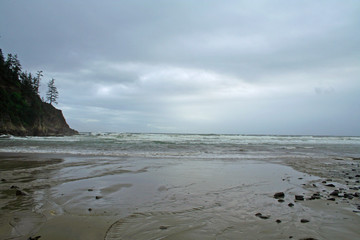 Short Sand Beach and Smugglers Cove (OR 00290)