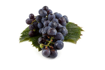 Black wine grape on autumn leaf